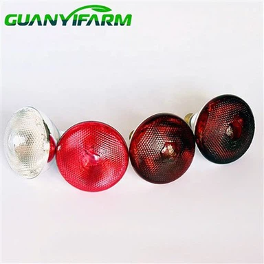 Vánoční osvětlení Zvíře udržuje teplo Infračervené vyhřívání