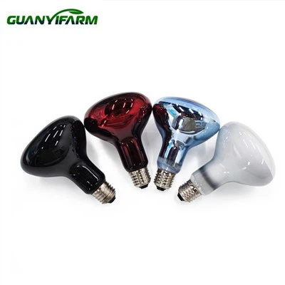 Infračervené Světlo Pro Plazy