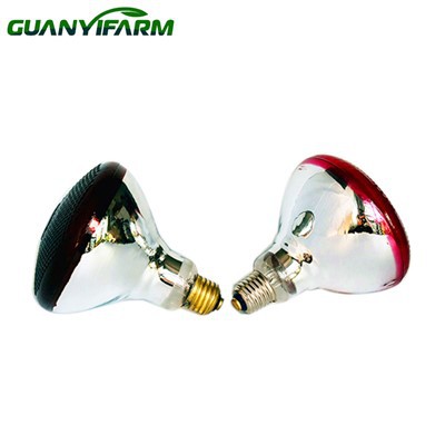 PAR38 Chovná vyhřívací lampa