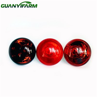 Žárovka pro kurník